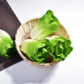 Artificial fake decorative real touch PU teaching Props lettuce faux vegetables Pretend Play photography prop fruits