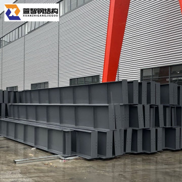 Versatile Steel Structure Systems for Diverse Applications