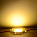 1Set High Power 10W 20W 30W 50W 100W Full Watt COB LED Lamp Chips With LED Driver DIY Flood Light Spotlight Lawn Lighting