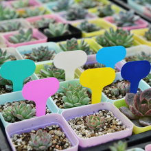 100pcs Colorful Plant Markers Garden Vegetable Bonsai Succulent Seedings Tags Sign Gardening Labels Stake on Soil Paint Sticks K