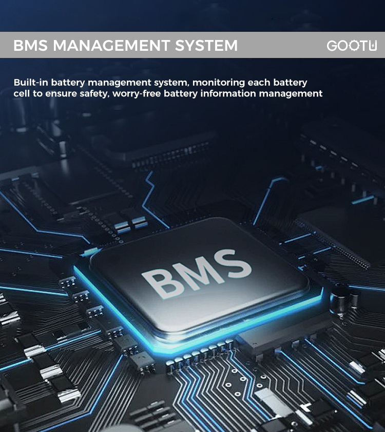 BMS
