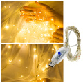 Holiday Lighting String USB Port 5m 50LED / 10m 100LEDs Outdoor Indoor Decoration Christmas Holiday LED String Light.