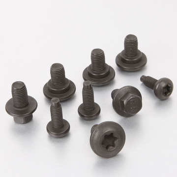 Black Oxide Flange Bolt & Torx Security Screw