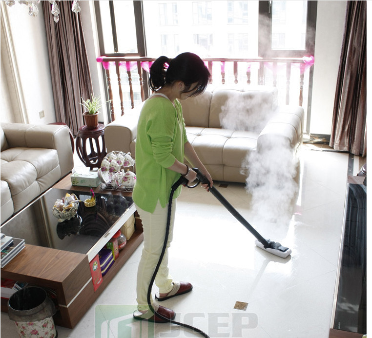 110V/220V Best high quality temperature steam cleaners multi functional steam mop sauna car film machine house cleaner