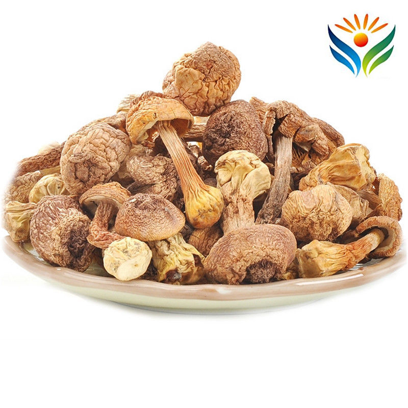 Agaricus Blazei Murill Mushroom Quality Dehydrated Dry Food Tricholoma Matsutake