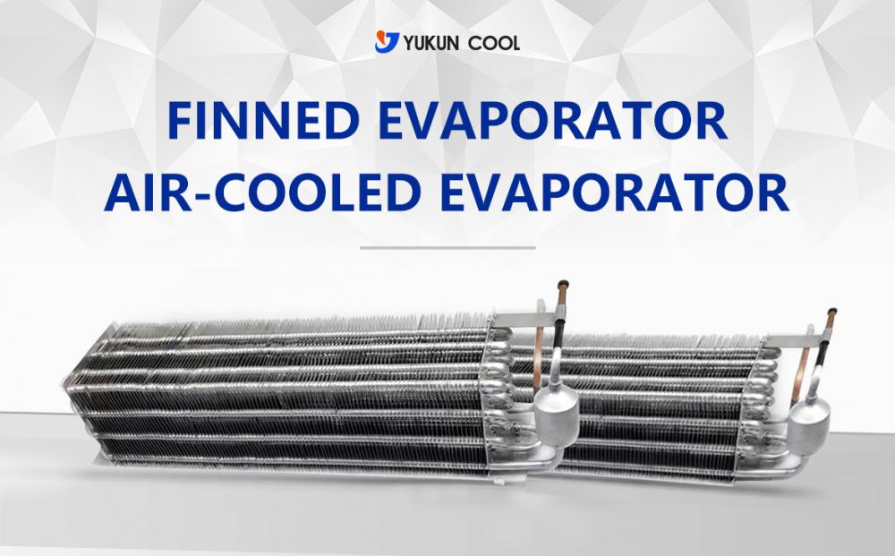 Non-standard Air Cooled Evaporator