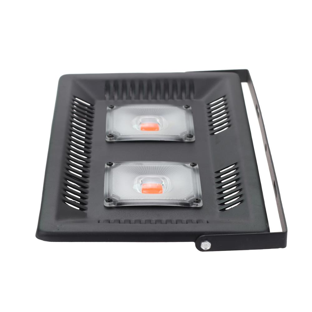 AC220V 110V LED Growing Floodlight 100W