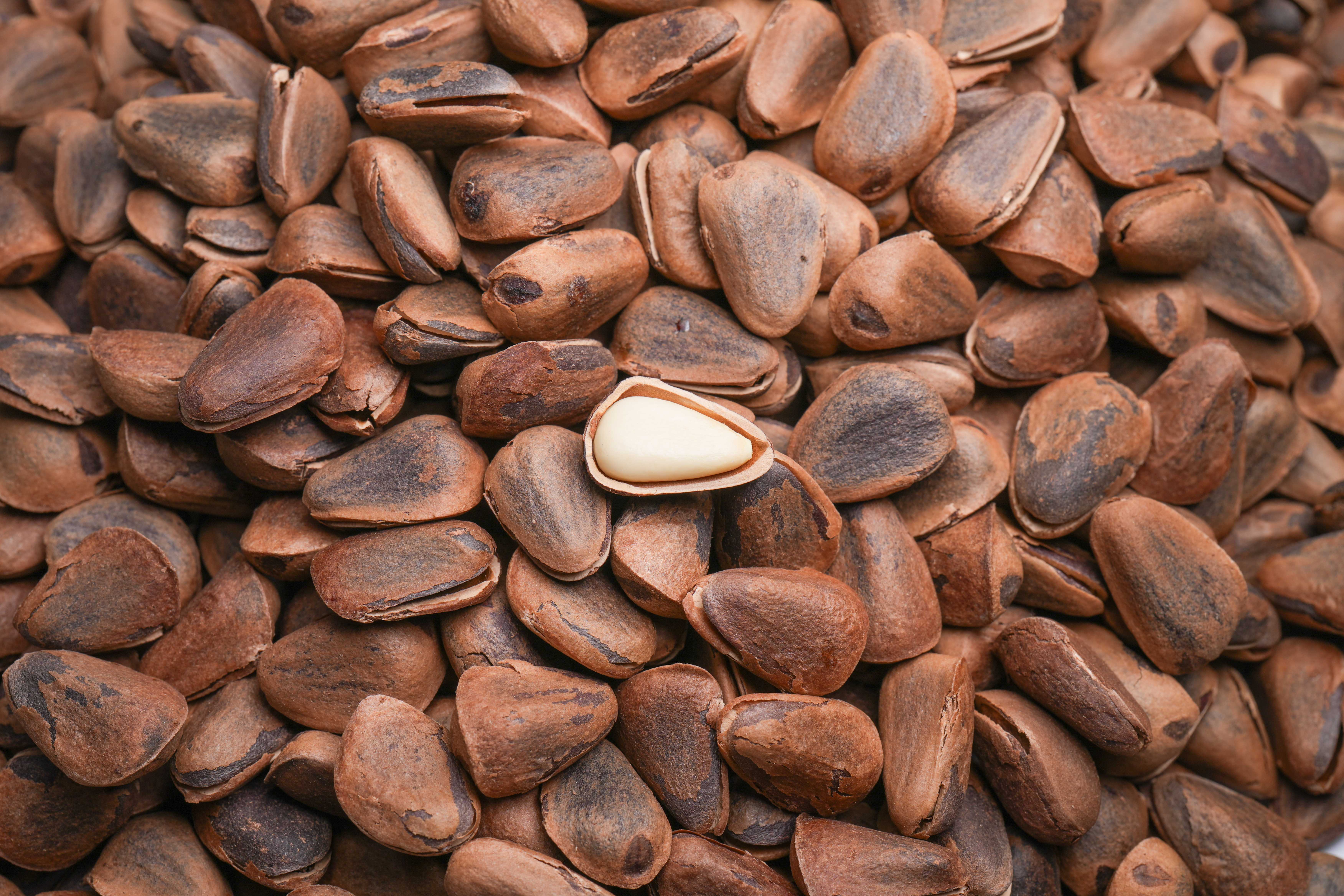 280g Organic Open Pine Nuts1-1