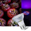 E14 Plant Lamp LED Full Spectrum E27 Grow Light 30W 50W 80W Growth LED Greenhouse Lighting 18W 28W LED Bulbs Seedling Phyto Lamp