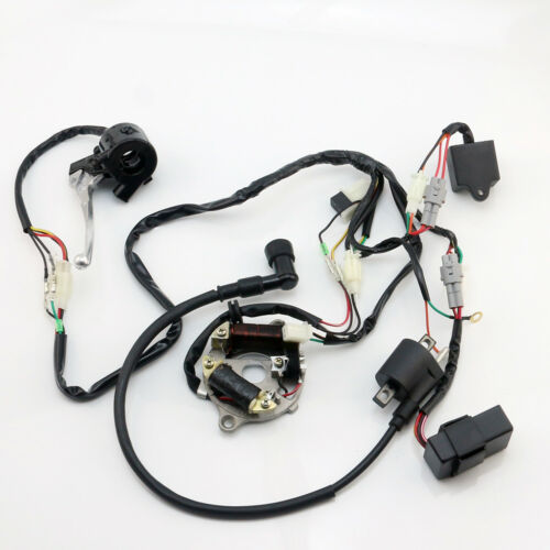 PW50 WIRE WIRING HARNESS Loom Ignition Switch CDI Unit Magneto Stator ASSEMBLY For YAMAHA PW50 REPLACEMENT AFTERMARKET