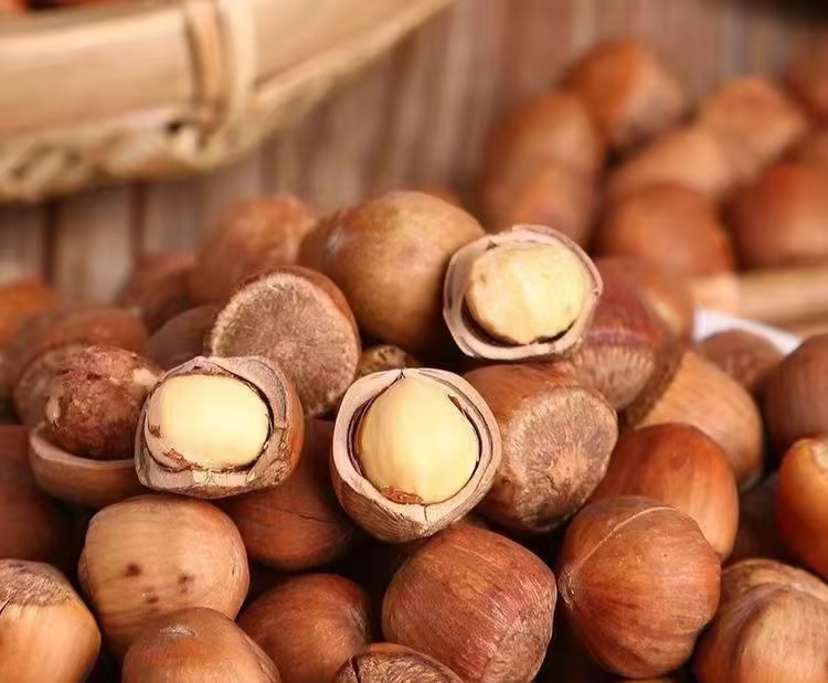 Hazelnut Kernel Products