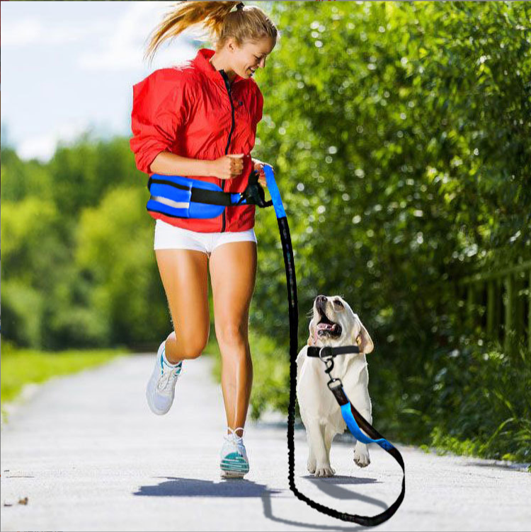 Dog With Leash