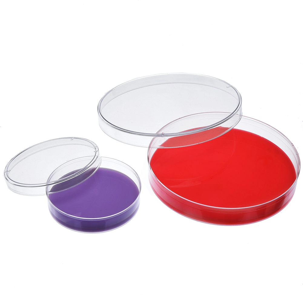 New Plastic Petri Dish Sterile Dishes with Lid, 100 mm and 60 mm, 20 Pcs