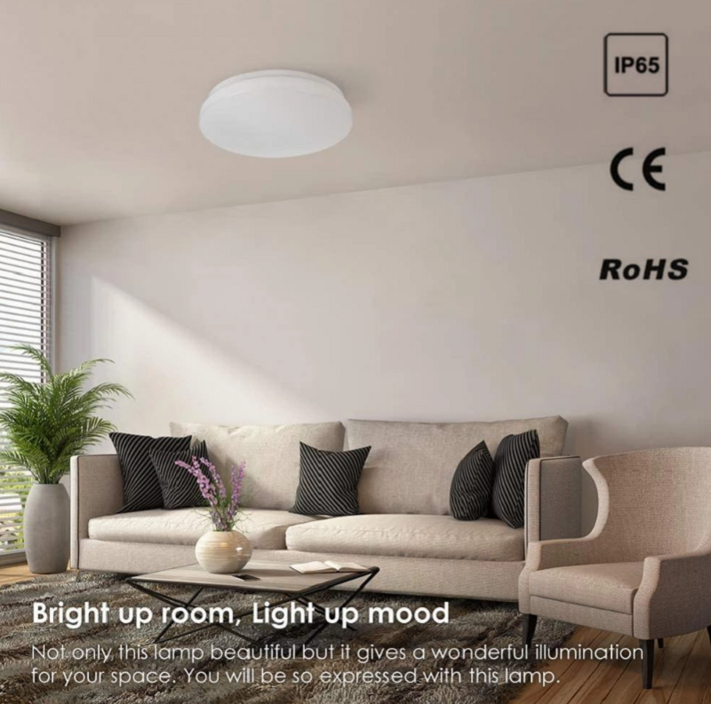 Emergency Ceiling Light6.png