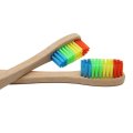 Natural Bamboo Environment Toothbrush Made with Rainbow Nylon Infused Bristles in Recycled Biodegradable