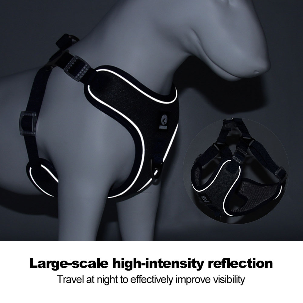 Pet Harness