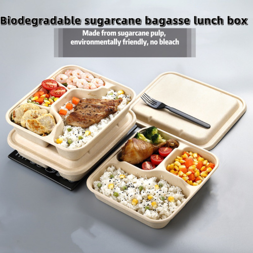 Suppliers for Biodegradable Sugarcane Pulp Tableware Container