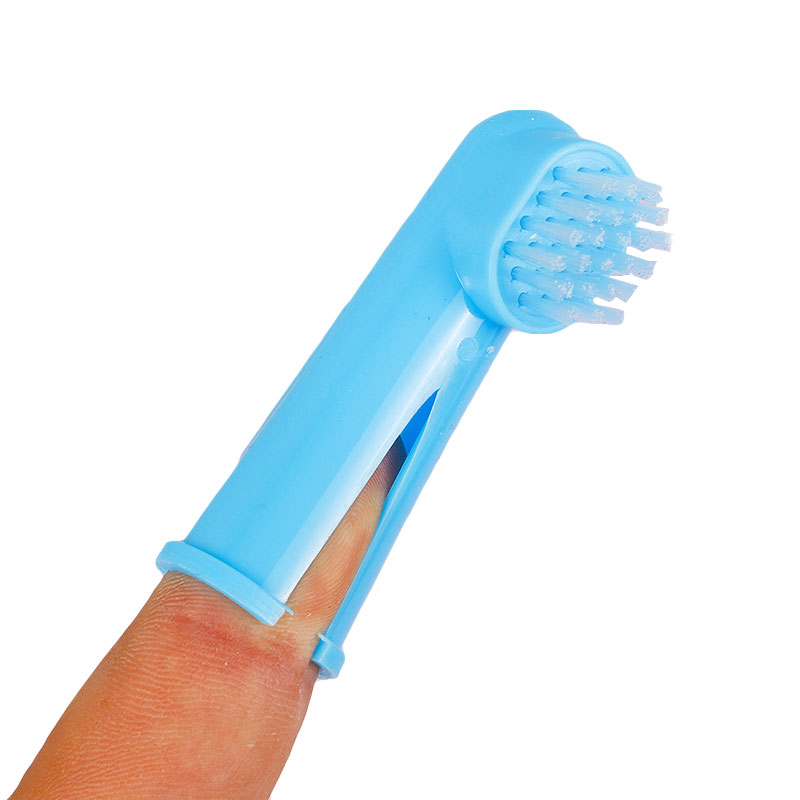 Dog Toothbrush Best