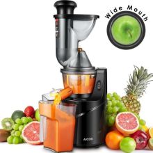 2023 New style high quality fruit slow juicer