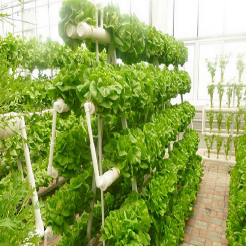 Greenhouse Customized Hydroponics Nft Pvc Pipe Manufacturers and Greenhouse Customized Hydroponics Nft Pvc Pipe Suppliers