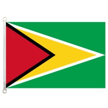 Guyana national flag 90*150cm 100% polyster