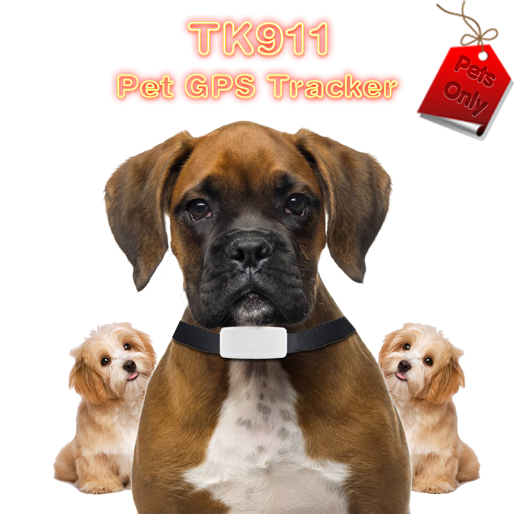 TKSTAR TK911 Wifi Pet Cat Dog GPS tracker Mini Tracking Locator Device adsorption charging Long Standby Time free platform APP