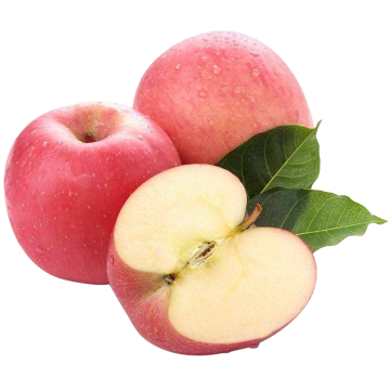 High quality apple extract powder