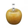 20MM Gemstone Apple Pendant Keychain with 7 Chakra Chain