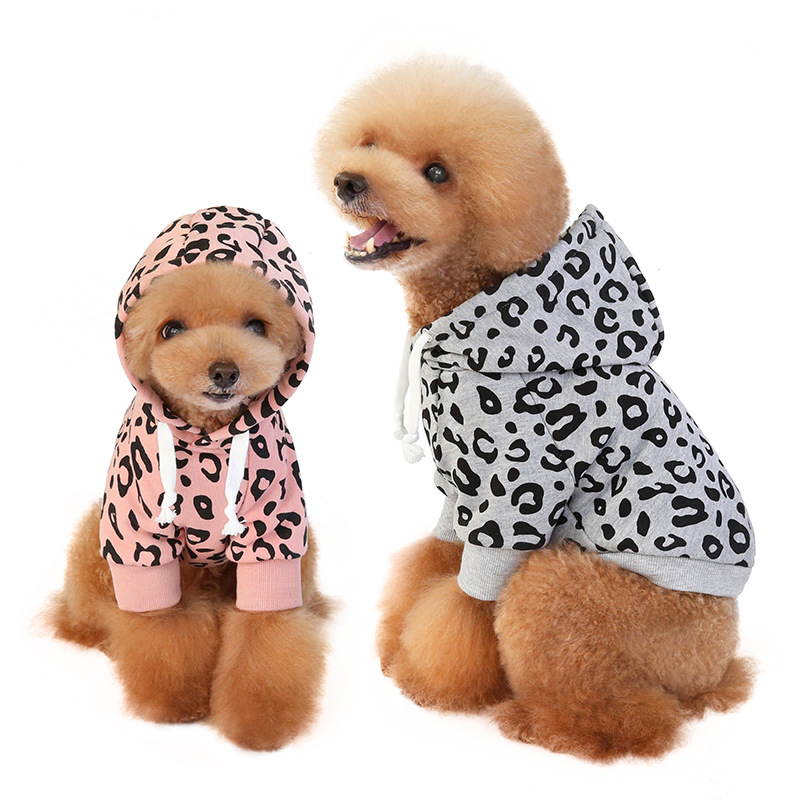 Dog Hoodie