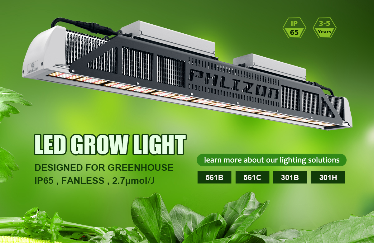 Phlizon LED Grow Light
