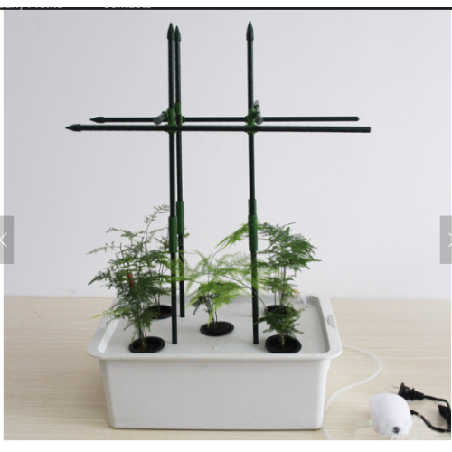 Indoor Garden Box Grow Kit Home Plant Manufacturers and Indoor Garden Box Grow Kit Home Plant Suppliers
