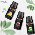 Inagla Vanilla Essential Oil Camphor Natural 10ML Pure Essential Oils Aromatherapy Diffusers Oil Healthy immune Air Fresh Care