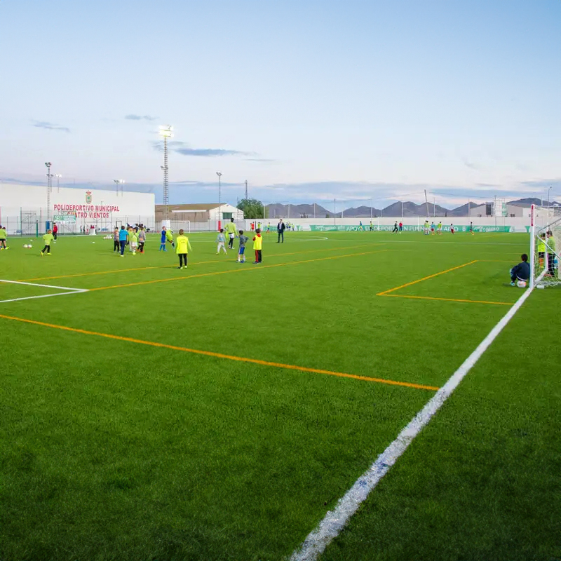 Professional Soccer Turf