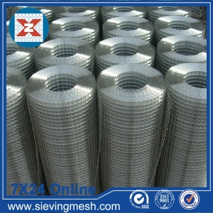 Galvanized Welded Hardware Cloth