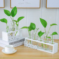 Hydroponic small vase creative glass green radish transparent small fresh water plant desktop decoration ornaments living room f