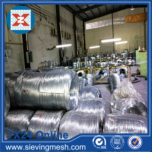 Galvanized Welded Wire Mesh Roll wholesale