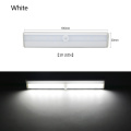 10 leds White