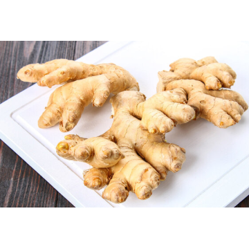 Fresh Frozen Turmeric Chunks and Ginger Dice