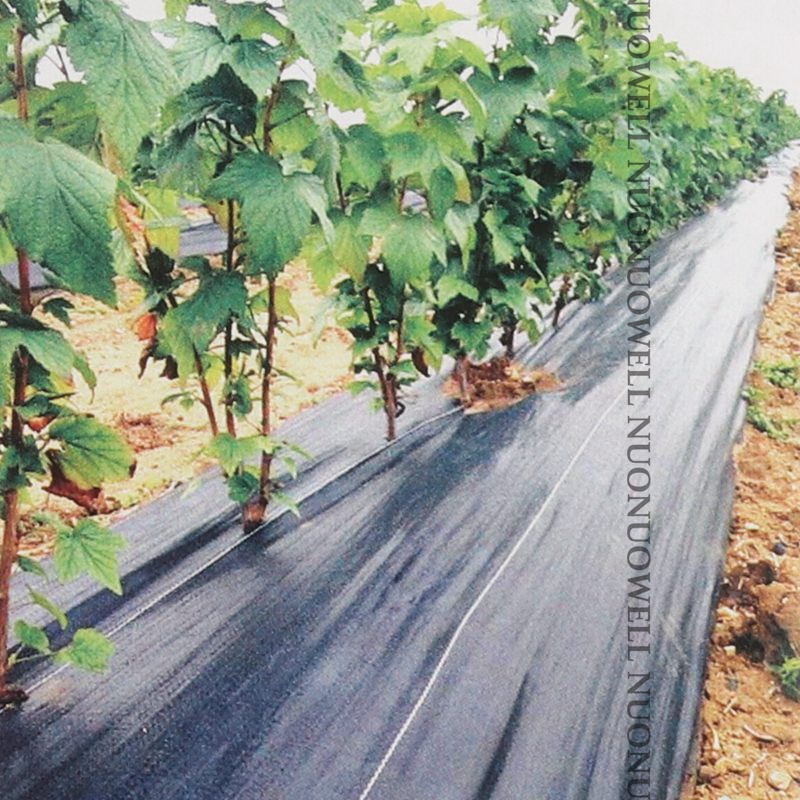 Wide0.5~4m Black Weed Mat Vegetable Garden Weeding Cloth Weed Control Anti Grass Cloth Greenhouse Weed Control Mat Plastic Mulch