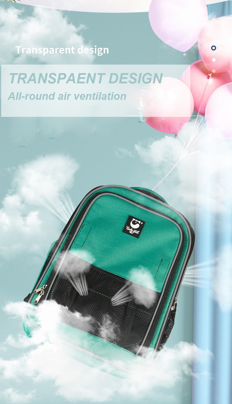 Pet Travel Carrier