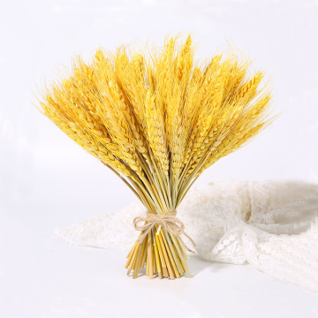 23cm Real Wheat Ear Flower Natural Dried Flowers for Wedding Party DIY Table Decor Craft Scrapbook Home Decor Wheat Bouquet