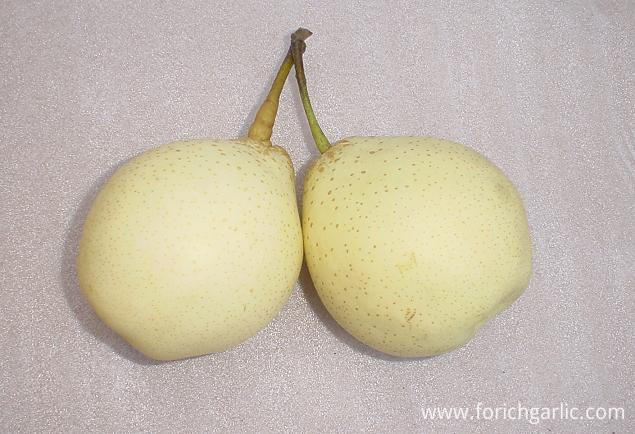 Ya Pear Ya Pear