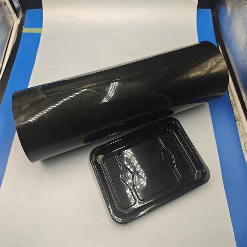 PP 032502