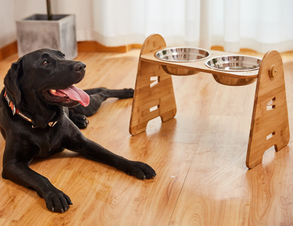 Dog Bowl Set With Stand