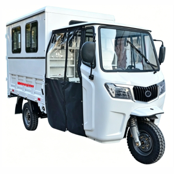 Heavy-Duty Cargo Tricycles WJ300ZH-W1 250-300cc