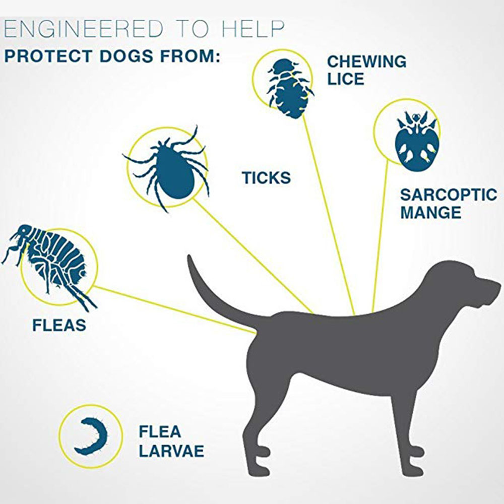 Dog & Cat Collar 8 Month Flea & Tick Prevention Collar Anti Flea Ticks Mosquitoes Silicone Adjustable Pet Collar Cat Accessories