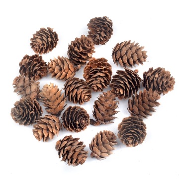 40pcs Natural Pine Nuts Fruit Artificial Flowers Pineapple Cones for Wedding Christmas Decoration DIY scrapbooking Carft