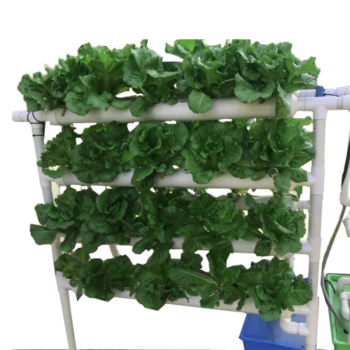 NFT System Skyplant Indoor Greenhouse Hydroponic Shelving Manufacturers and NFT System Skyplant Indoor Greenhouse Hydroponic Shelving Suppliers