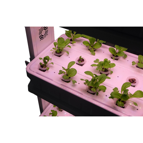 Bluetooth Control Vertical Grow Lighting Hydroponic Systems Manufacturers and Bluetooth Control Vertical Grow Lighting Hydroponic Systems Suppliers