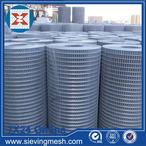 Galvanized Welded Wire Mesh Roll wholesale